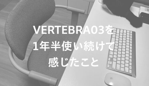 VERTEBRA03（バーテブラ03） を１年半使い続けて感じたこと